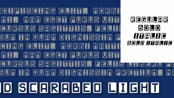 JD Scarabeo Light — original specimen